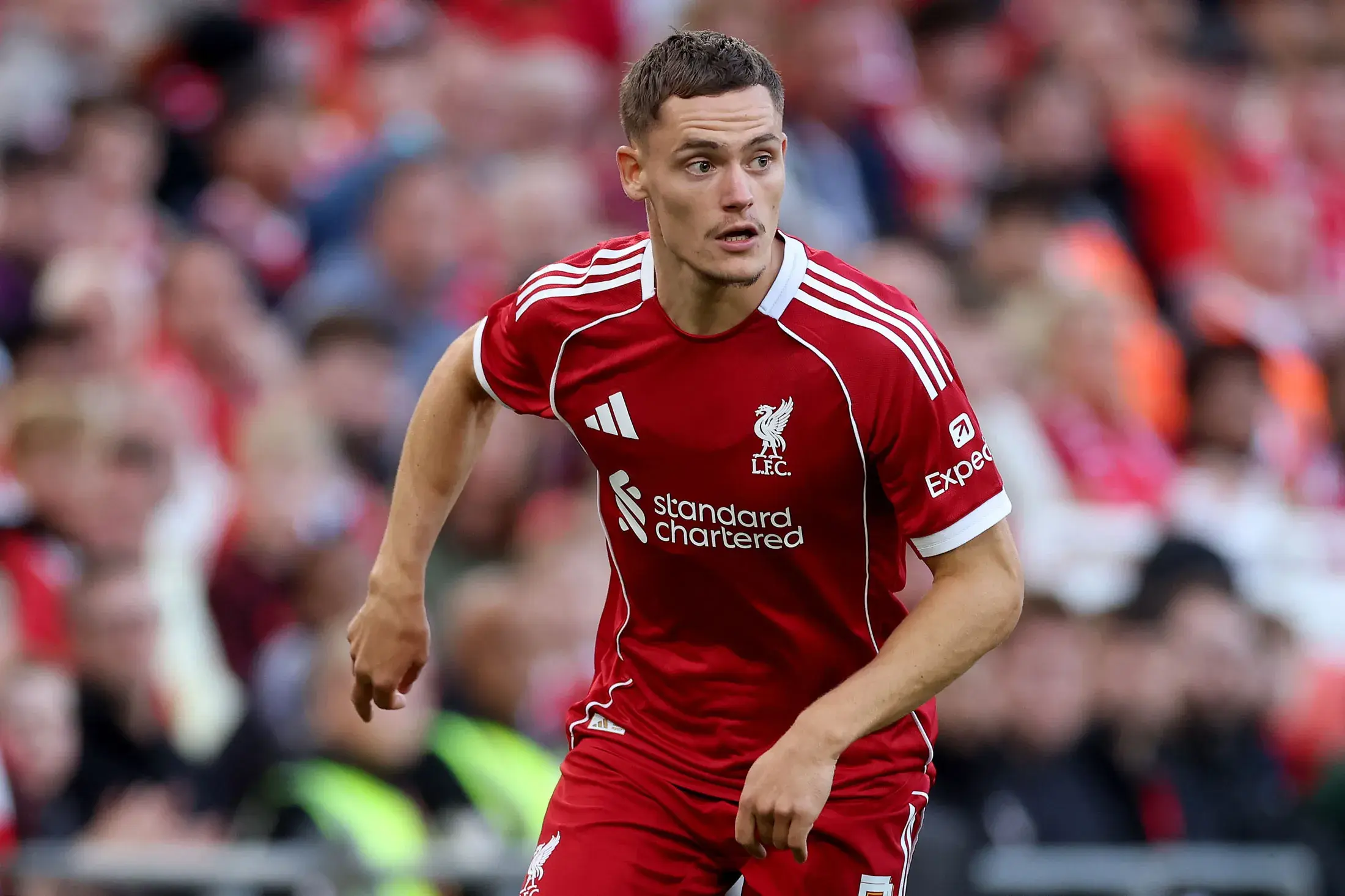 将迎来利物, 亿标王迎首 将迎来利物, 亿标王迎首